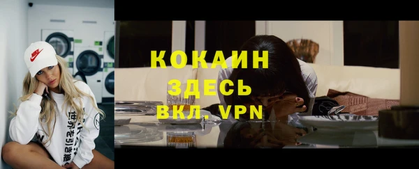 apvp Гусь-Хрустальный