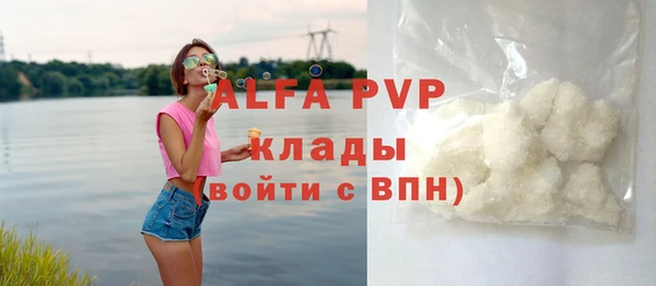 трава Гусиноозёрск