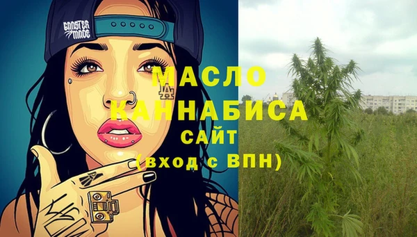 трава Гусиноозёрск